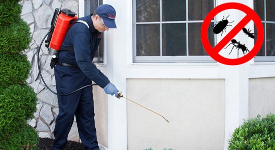 Tokat Karınca İlaçlama böcek ilaçlama ve haşere kontrolü — ilaclama-tr.com